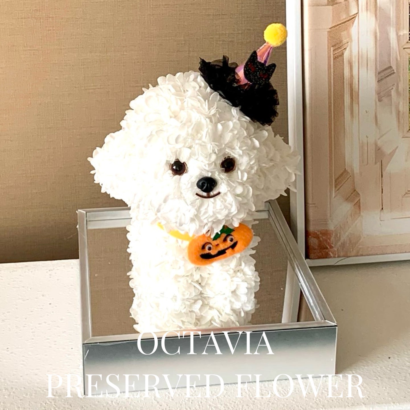 PFN2301-白色綉球花狗狗 OCTAVIA