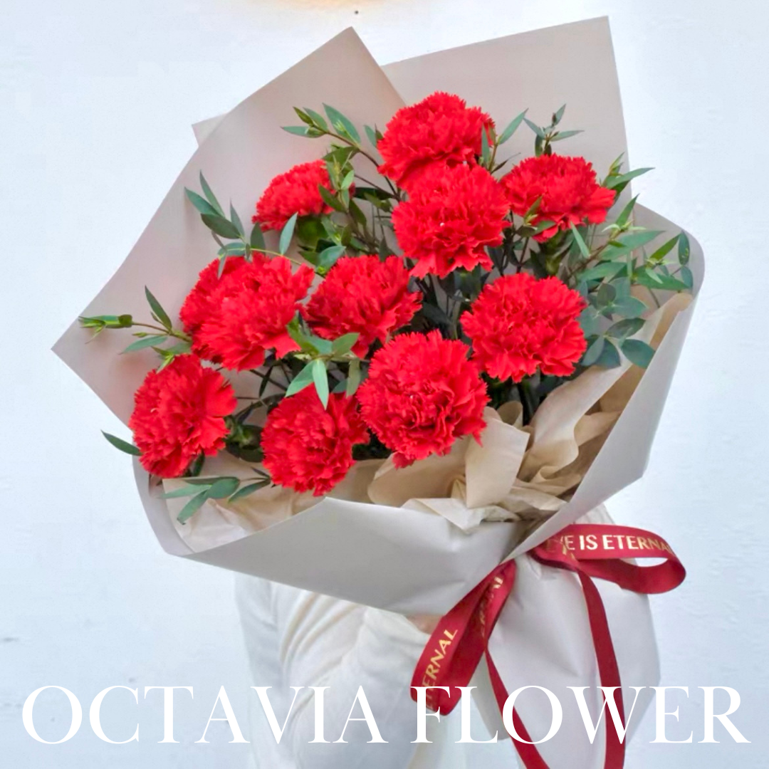 FFM02-韓風紅色康乃馨花束 OCTAVIA