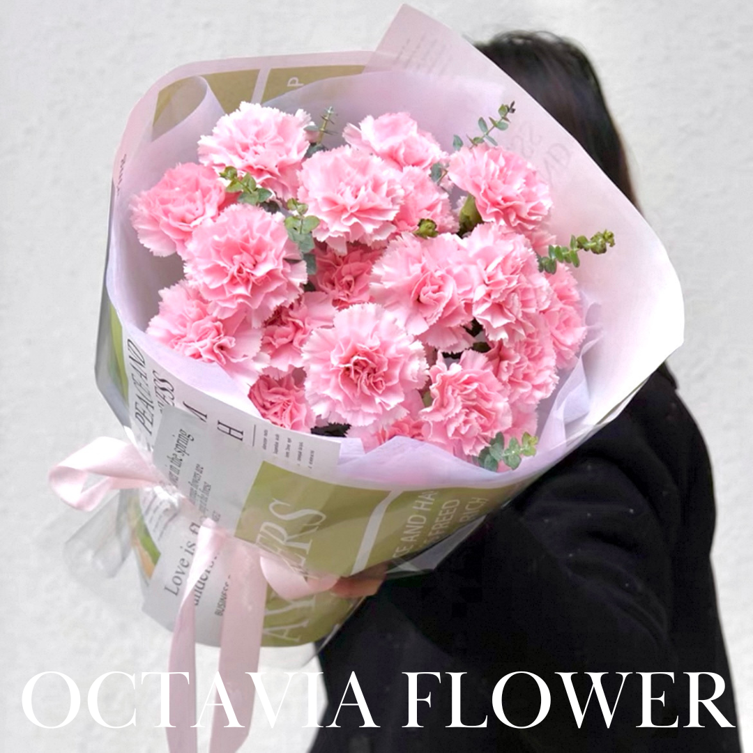 FFM03-俄式圓形粉紅康乃馨花束 OCTAVIA