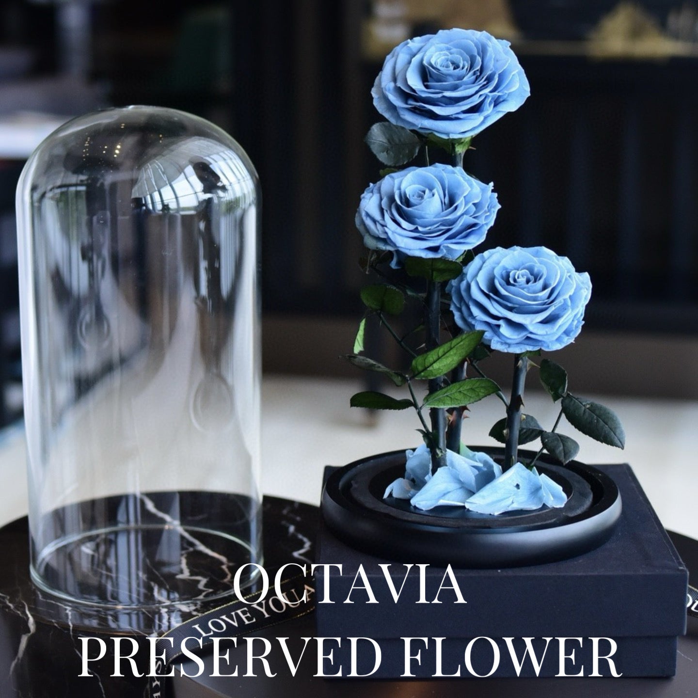 PFN18-三朵永生花玻璃罩(灰色) OCTAVIA