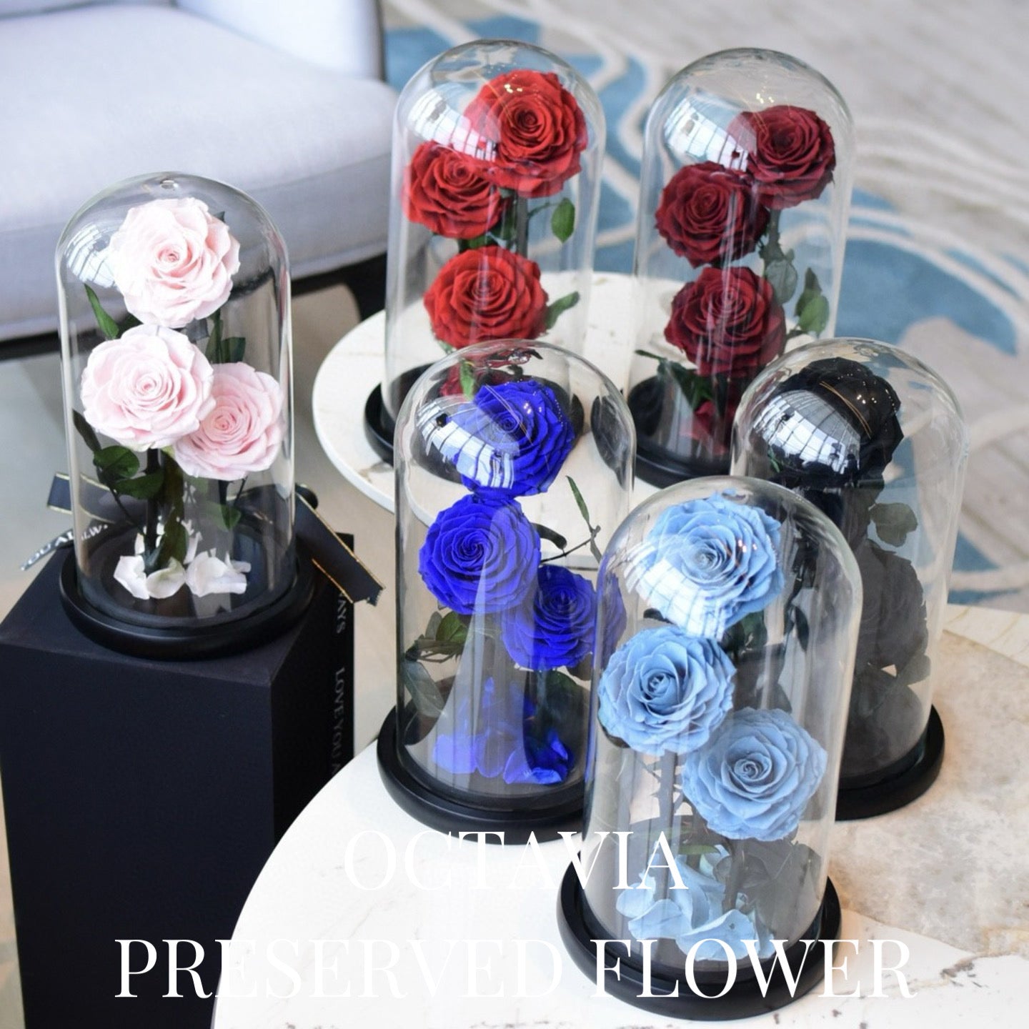 PFN18-三朵永生花玻璃罩(色) OCTAVIA