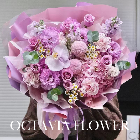 Lavender Story OCTAVIA