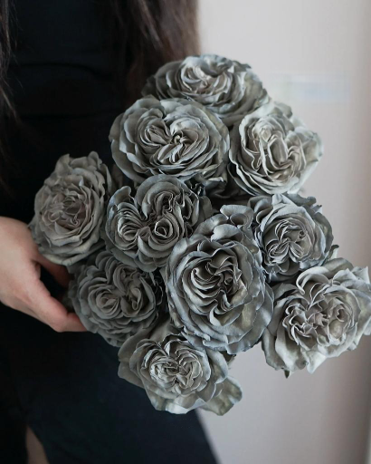 Gray Moon OCTAVIA