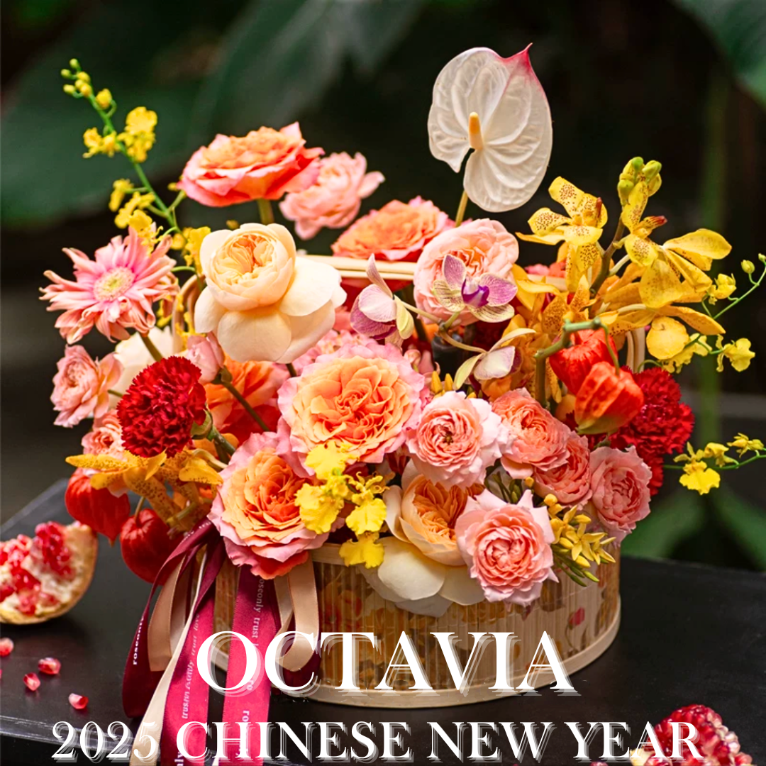 新春鮮花花盒05 OCTAVIA