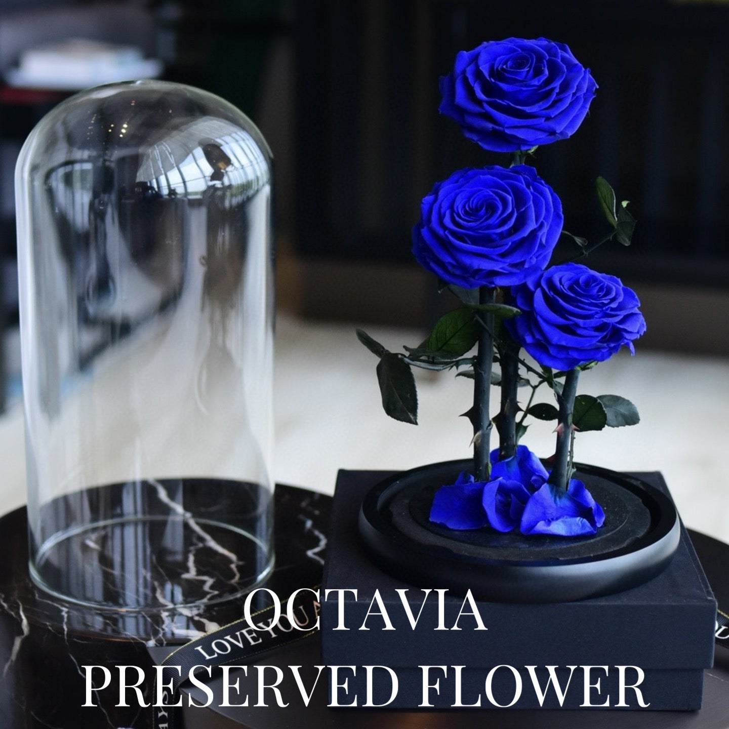 PFN18-三朵永生花玻璃罩(藍色) OCTAVIA
