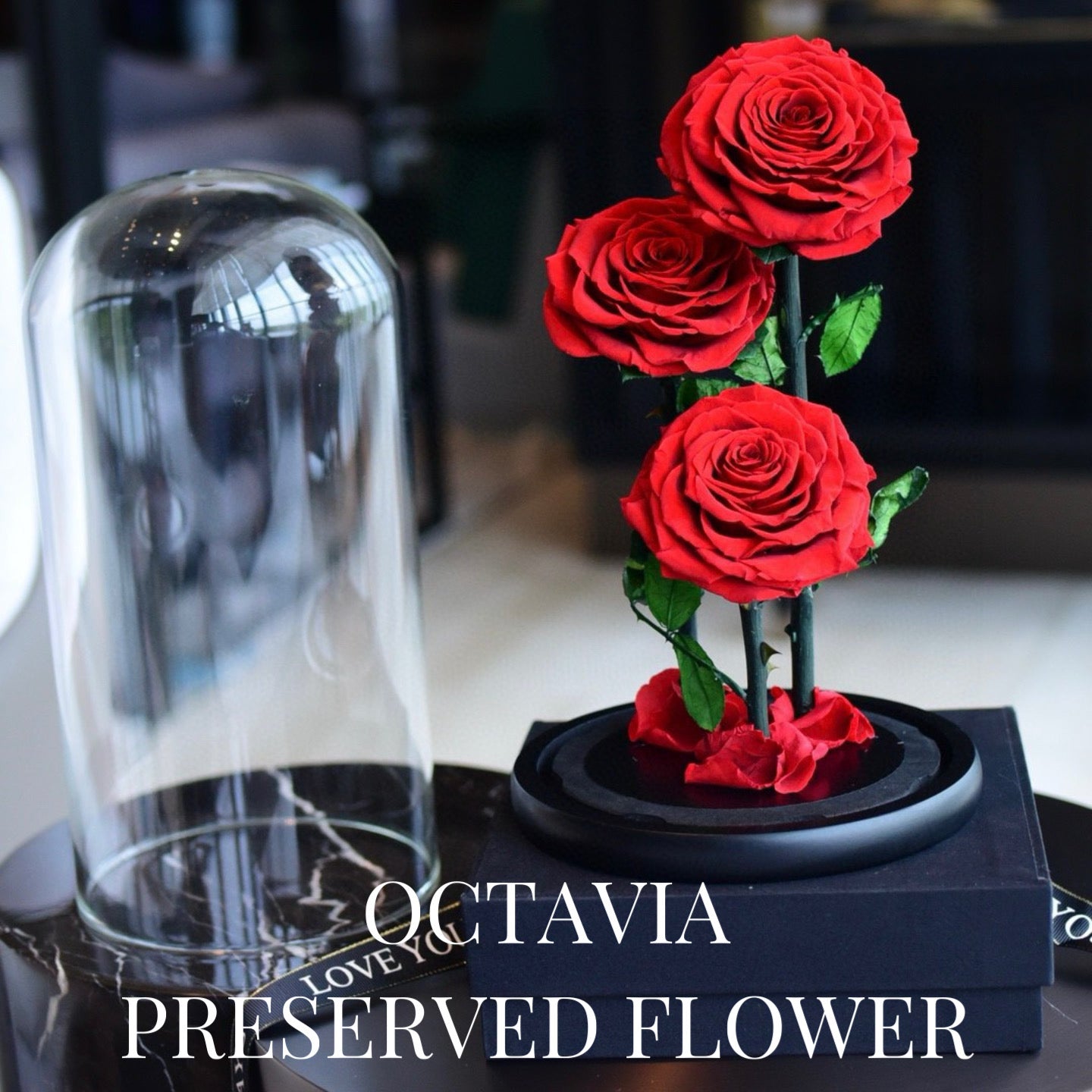 PFN18-三朵永生花玻璃罩(紅色) OCTAVIA