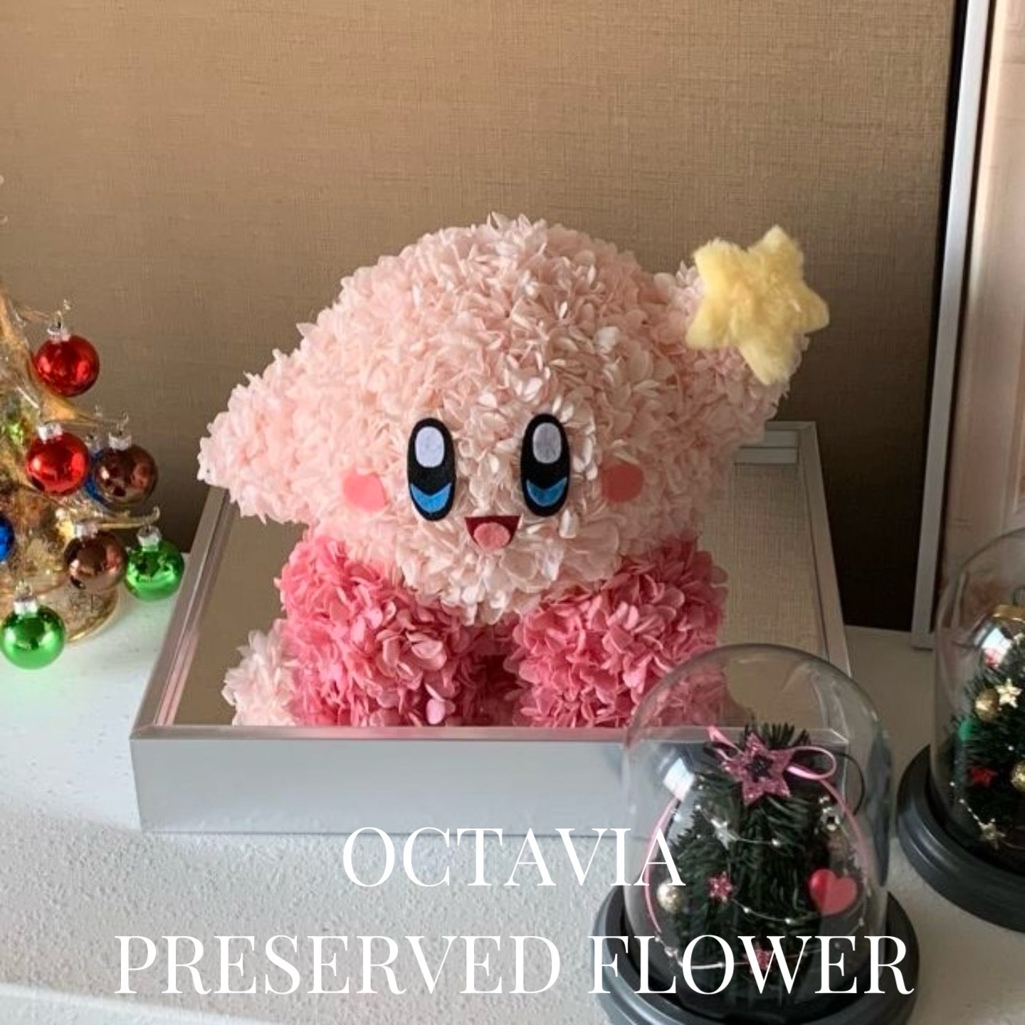 PFN15-星星卡比 OCTAVIA