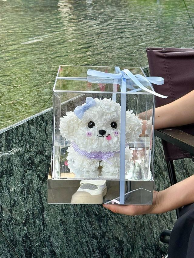 迷你比熊犬(淺藍色) OCTAVIA