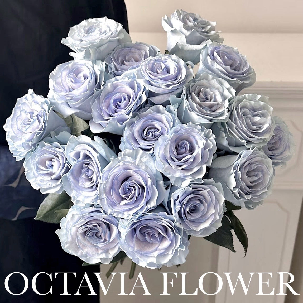 cf OCTAVIA