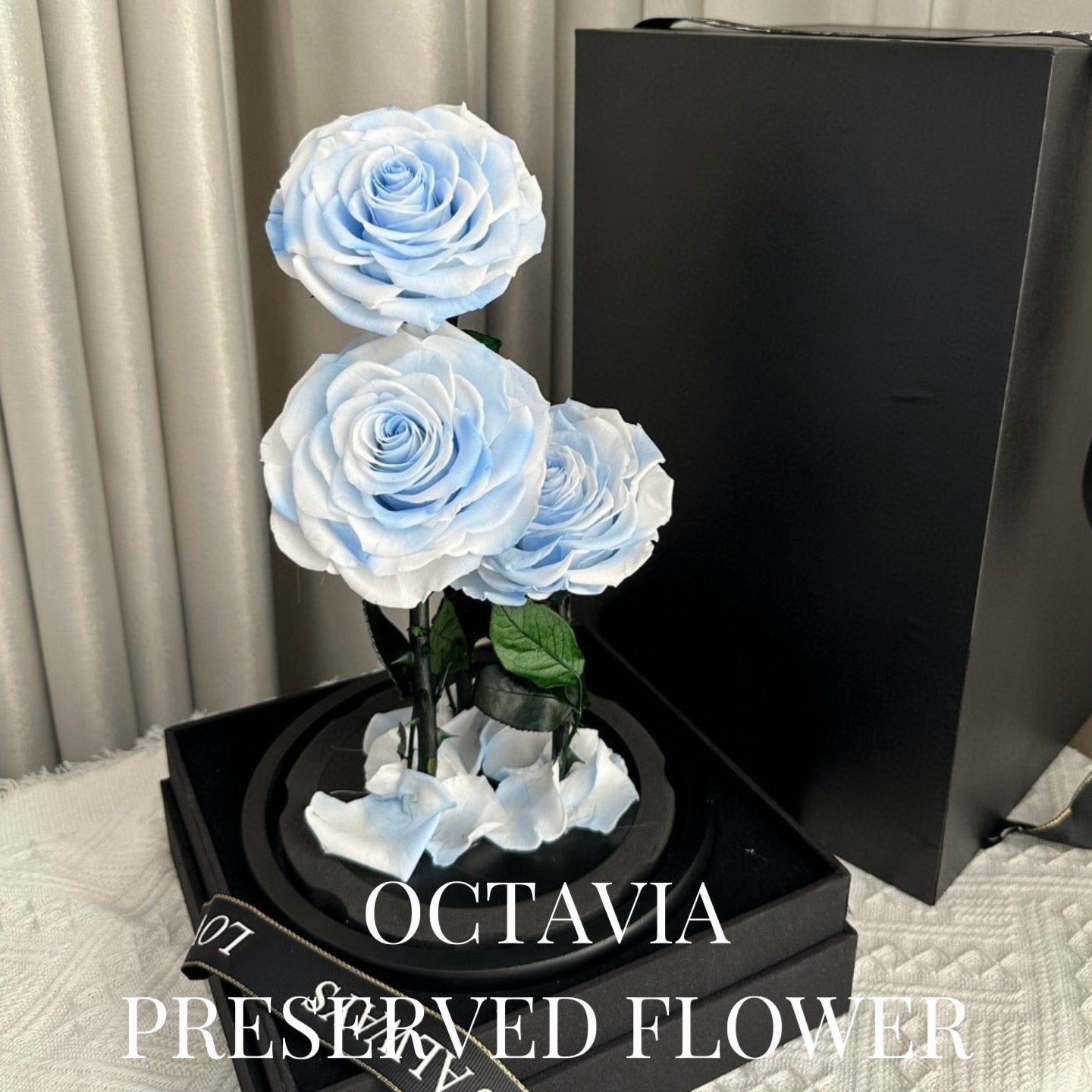 PFN18-三朵永生花玻璃罩(淺藍漸變) OCTAVIA