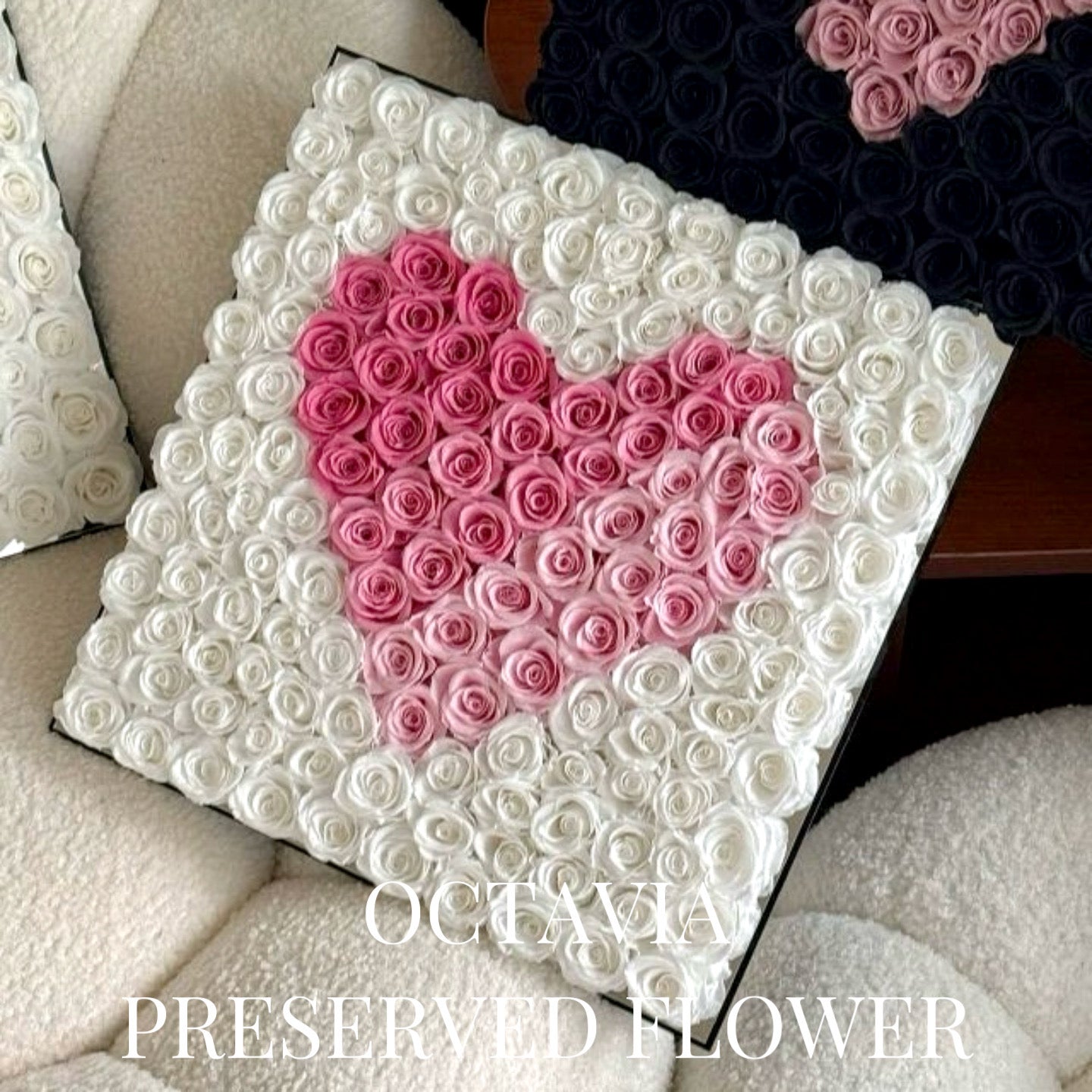 PFN07-心心花盒 OCTAVIA