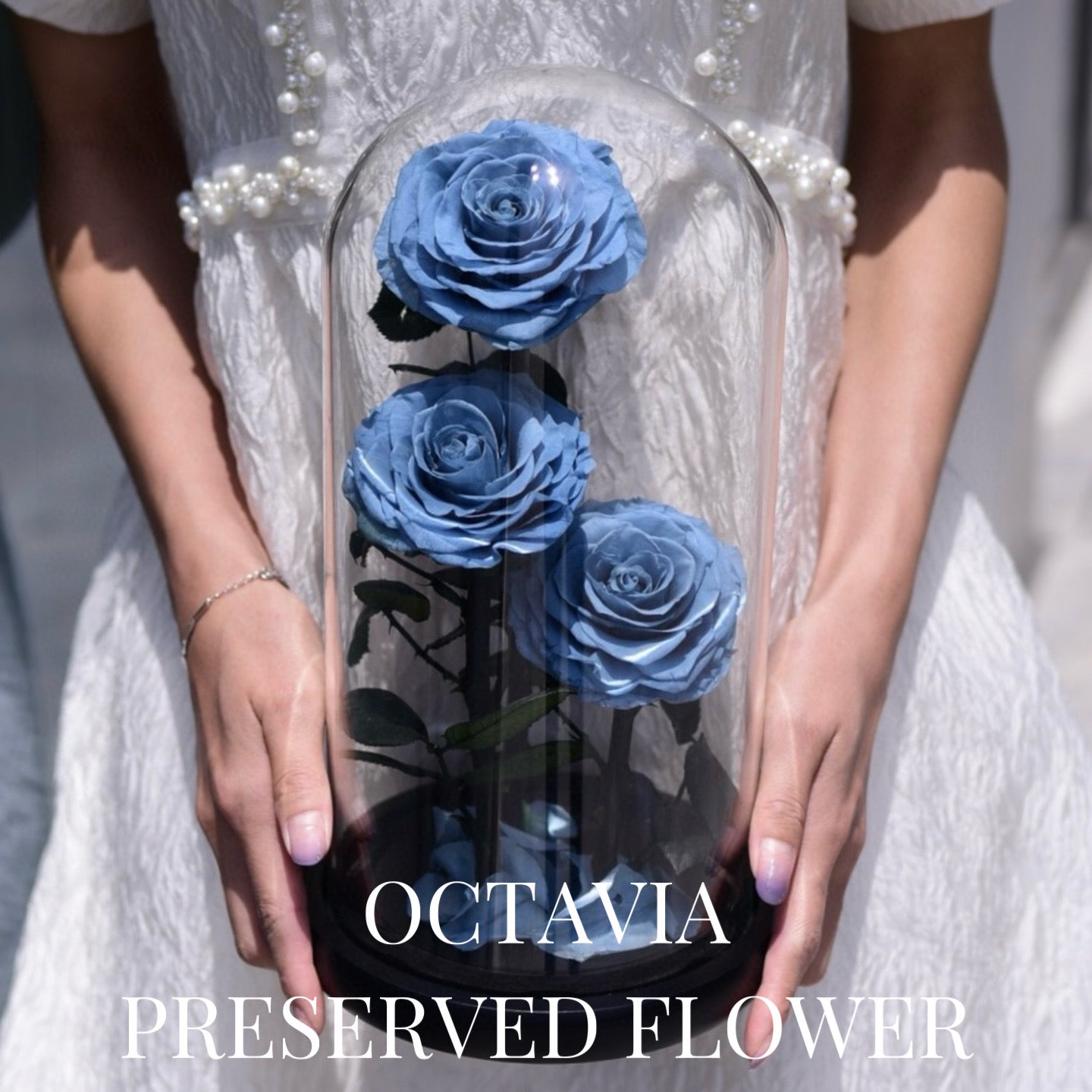 PFN18-三朵永生花玻璃罩(灰色) OCTAVIA