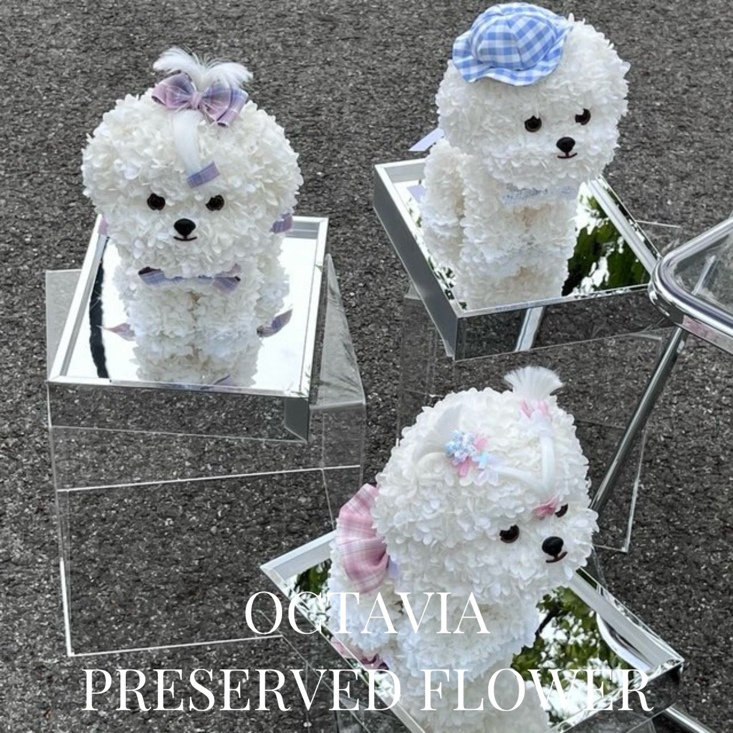 PFN2305-白色綉球花狗狗 OCTAVIA