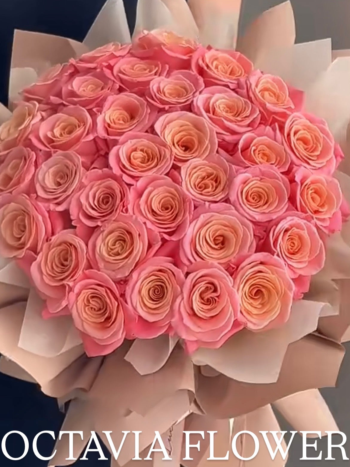 粉紅色玫瑰33枝花束 OCTAVIA