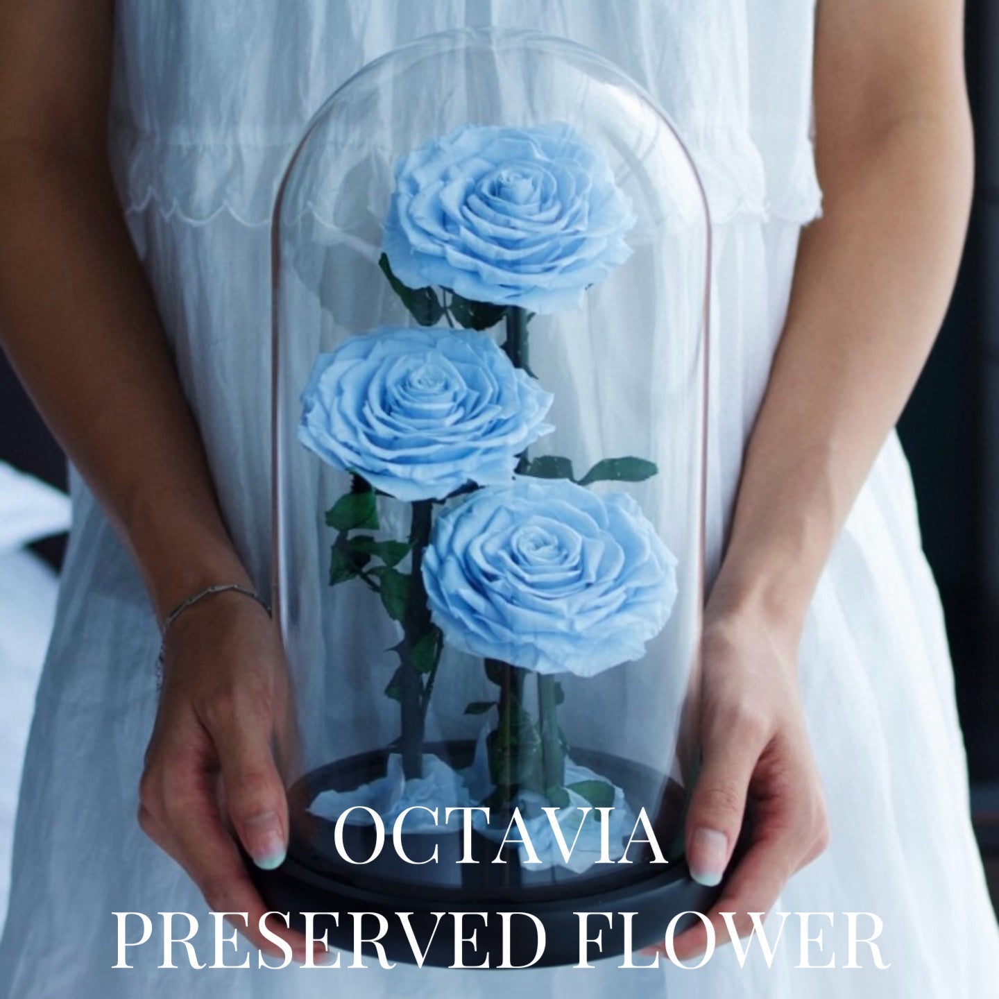 PFN18-三朵永生花玻璃罩(粉藍白色) OCTAVIA