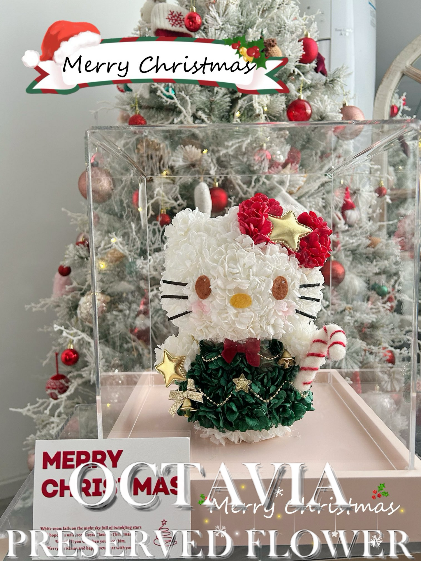 Christmas preserved flowers - Hello Kitty