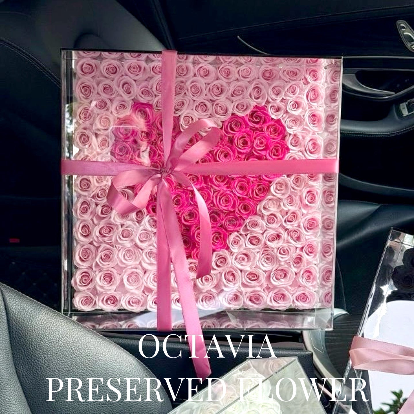 PFN07-心心花盒 OCTAVIA