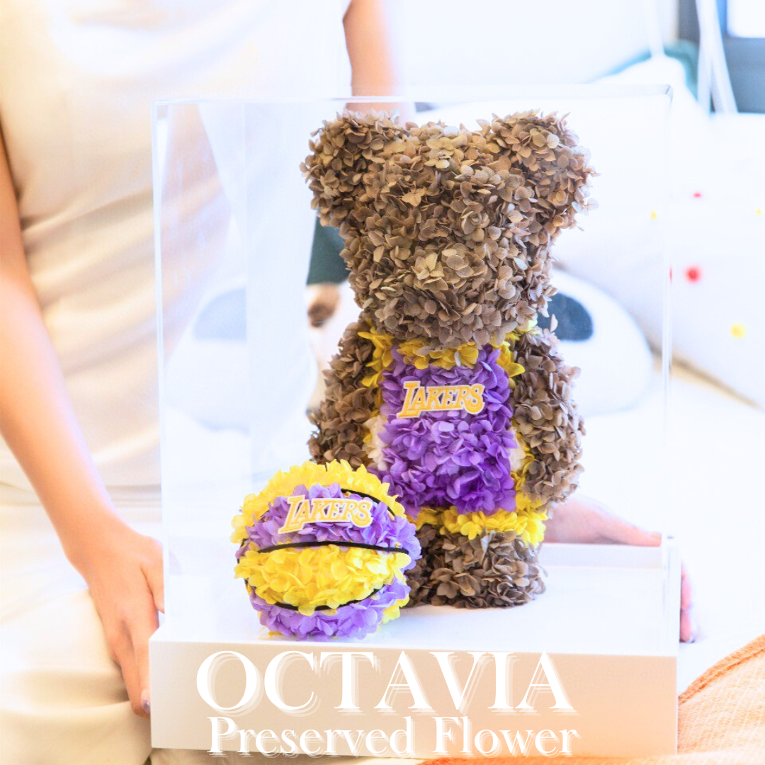 暴力熊(運動員系列-紫黃色) OCTAVIA