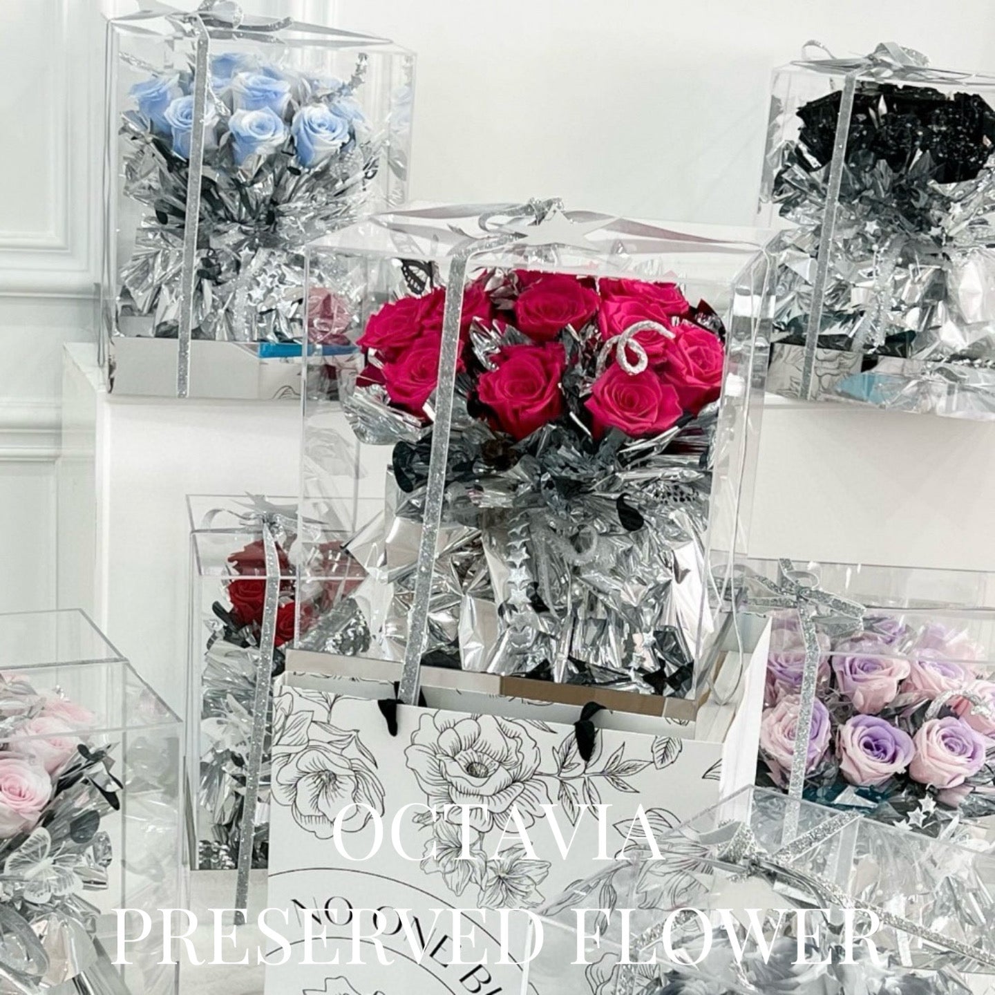PFN16-極光玫瑰花盒系列(色) OCTAVIA