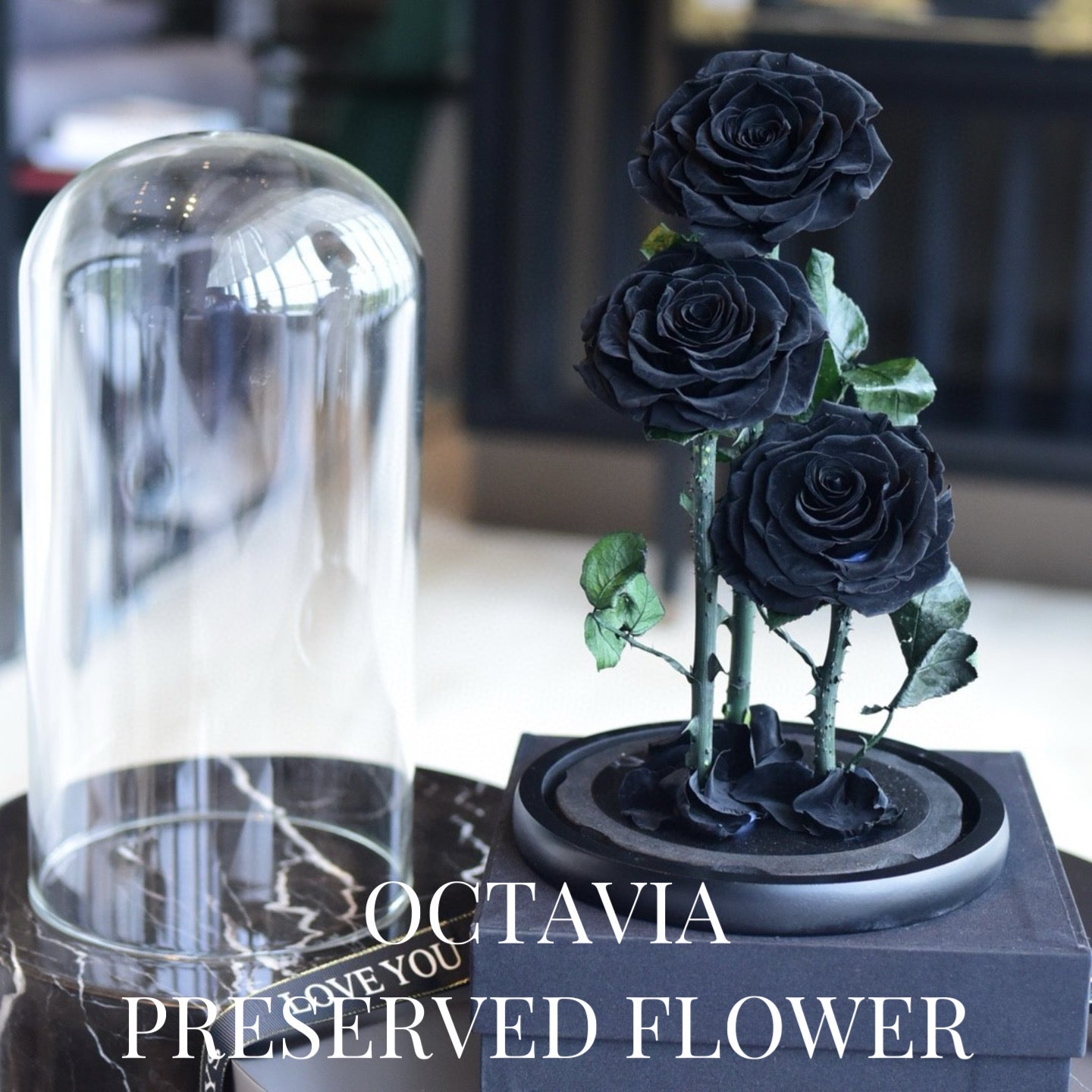 PFN18-三朵永生花玻璃罩(色) OCTAVIA