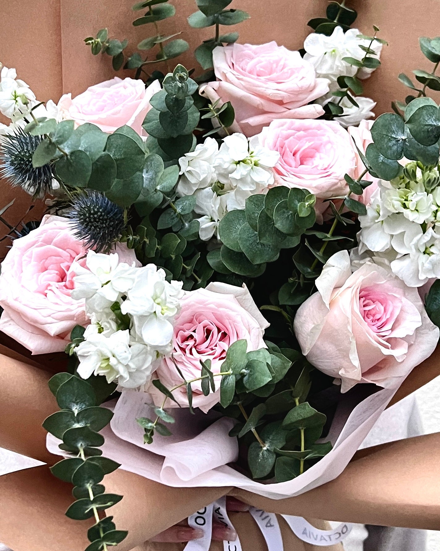 Regular Item 11 OCTAVIA