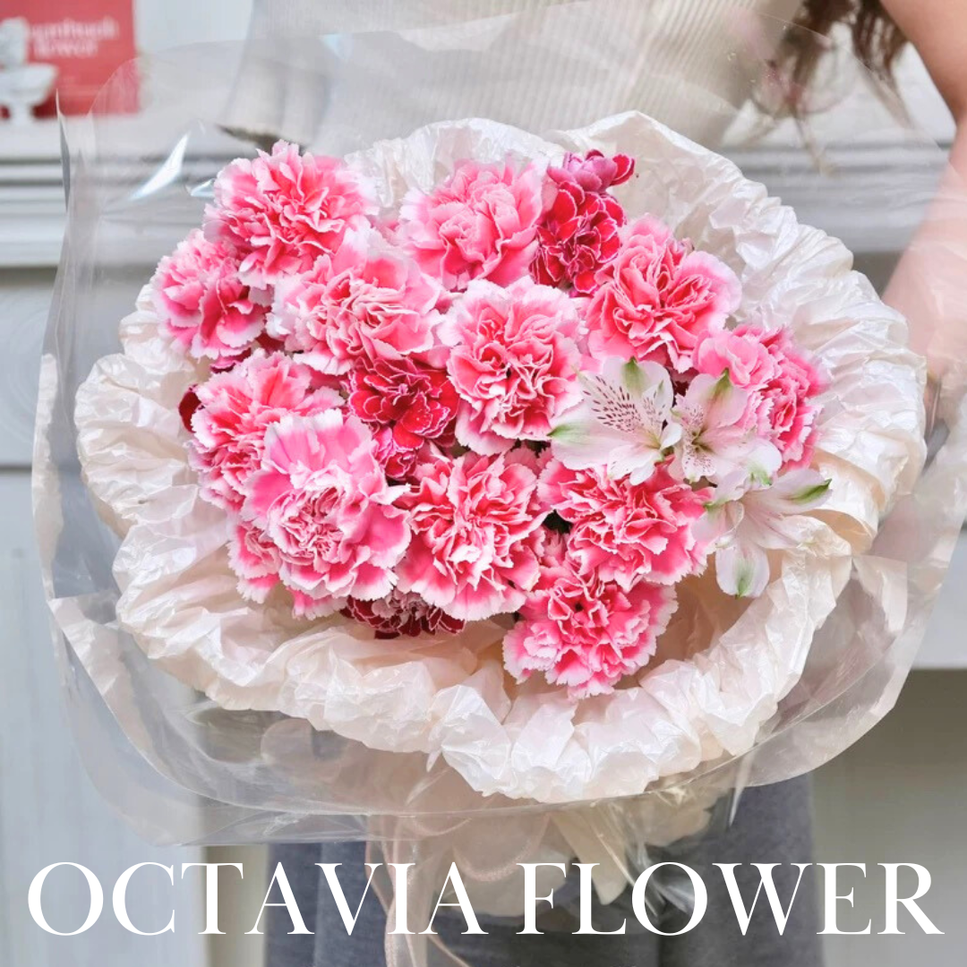 粉紅色桃紅色康乃馨花束070 OCTAVIA