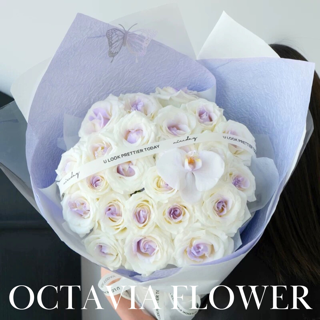 小紫薯芯玫瑰花束(染色)068 OCTAVIA