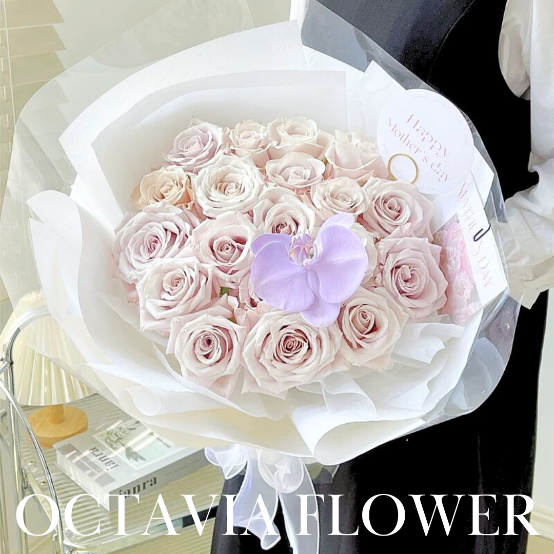 曼塔玫瑰花束062 OCTAVIA
