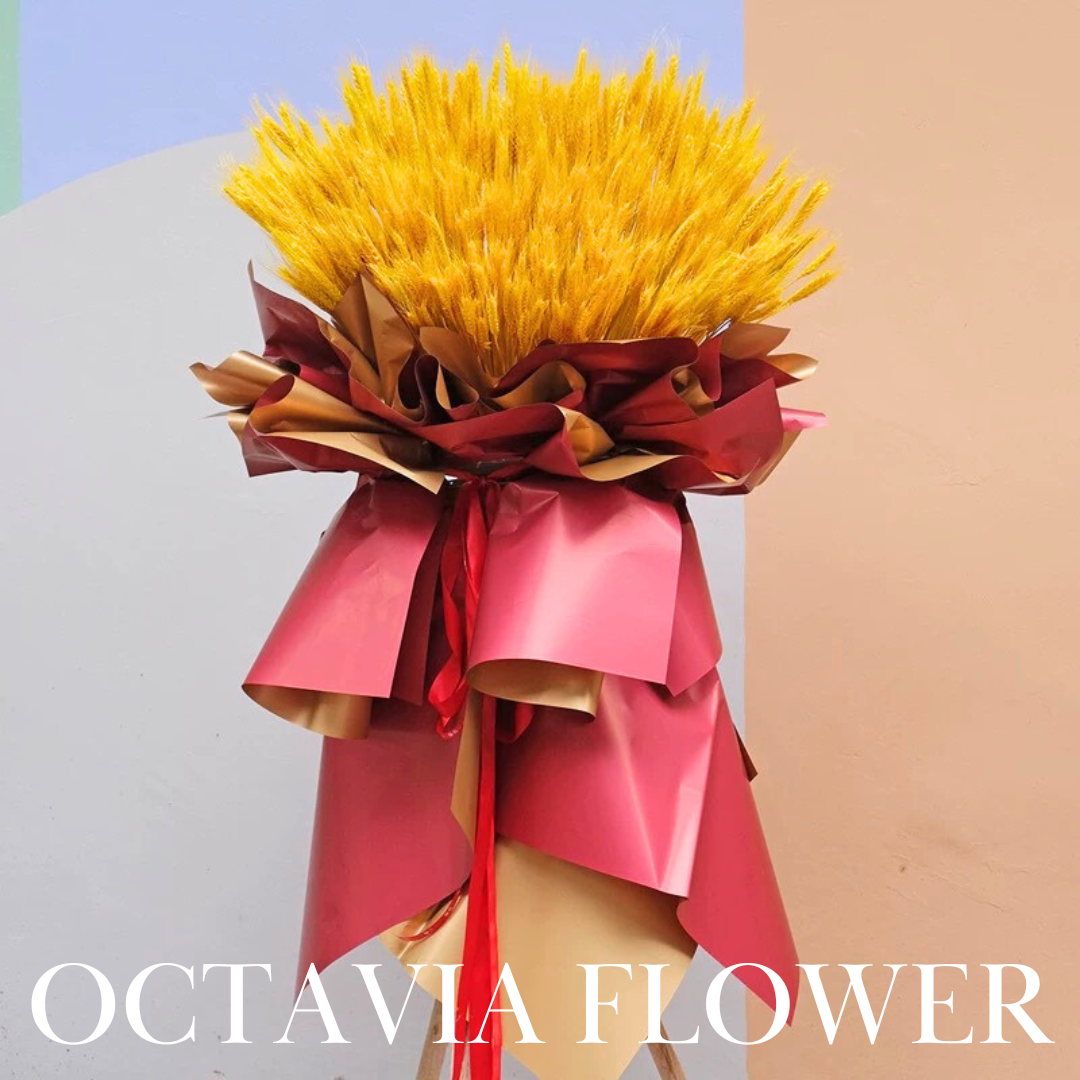 黃金大麥大賣開將花籃(金紅色)053 OCTAVIA