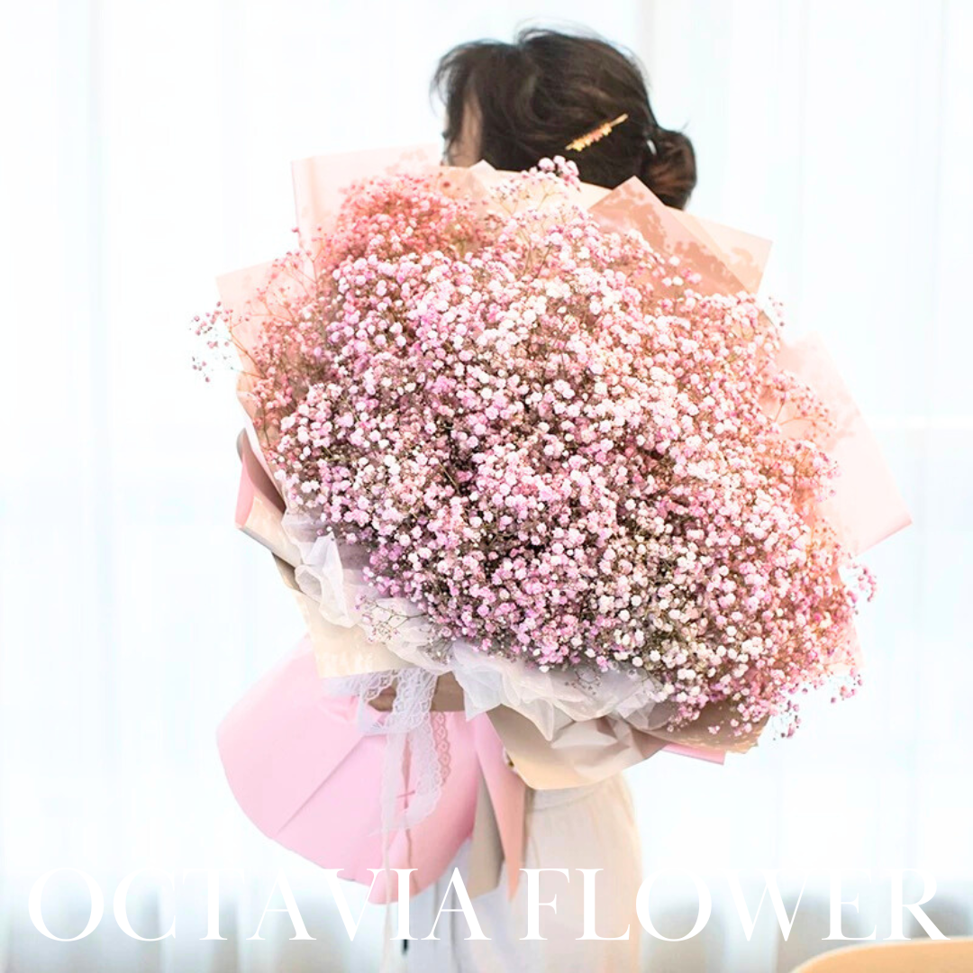 粉紅滿天星韓式花束(L) OCTAVIA