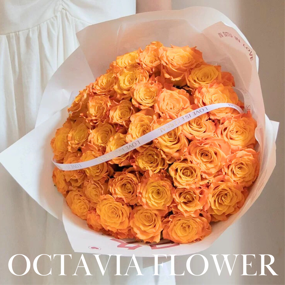 橙玫瑰花束035 OCTAVIA