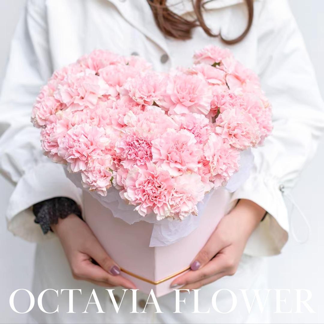 粉紅色康乃馨心形花盒025 OCTAVIA
