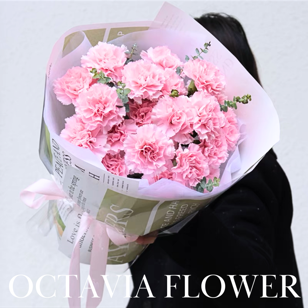粉紅色康乃馨花束015 OCTAVIA