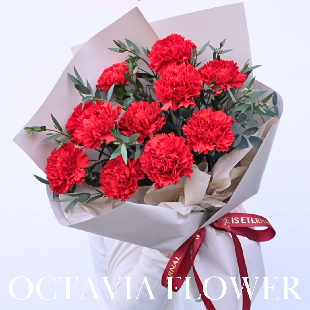 紅色康乃馨花束014 OCTAVIA