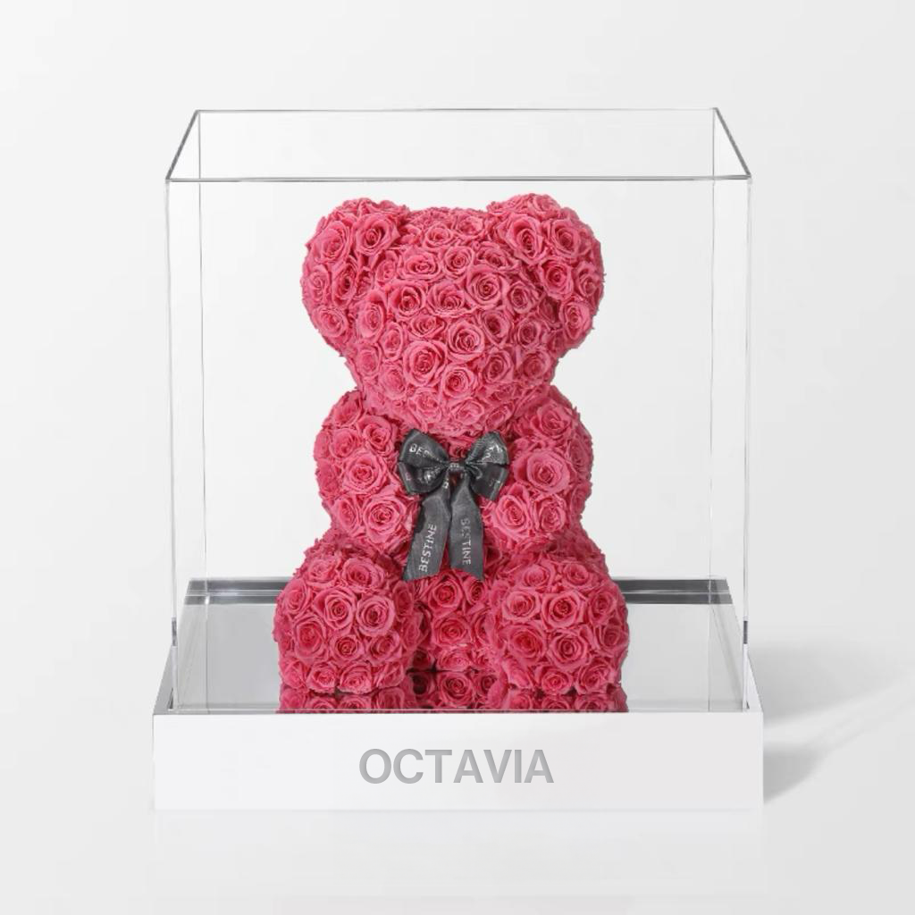 永生花玫瑰小熊(大)-西瓜紅 OCTAVIA