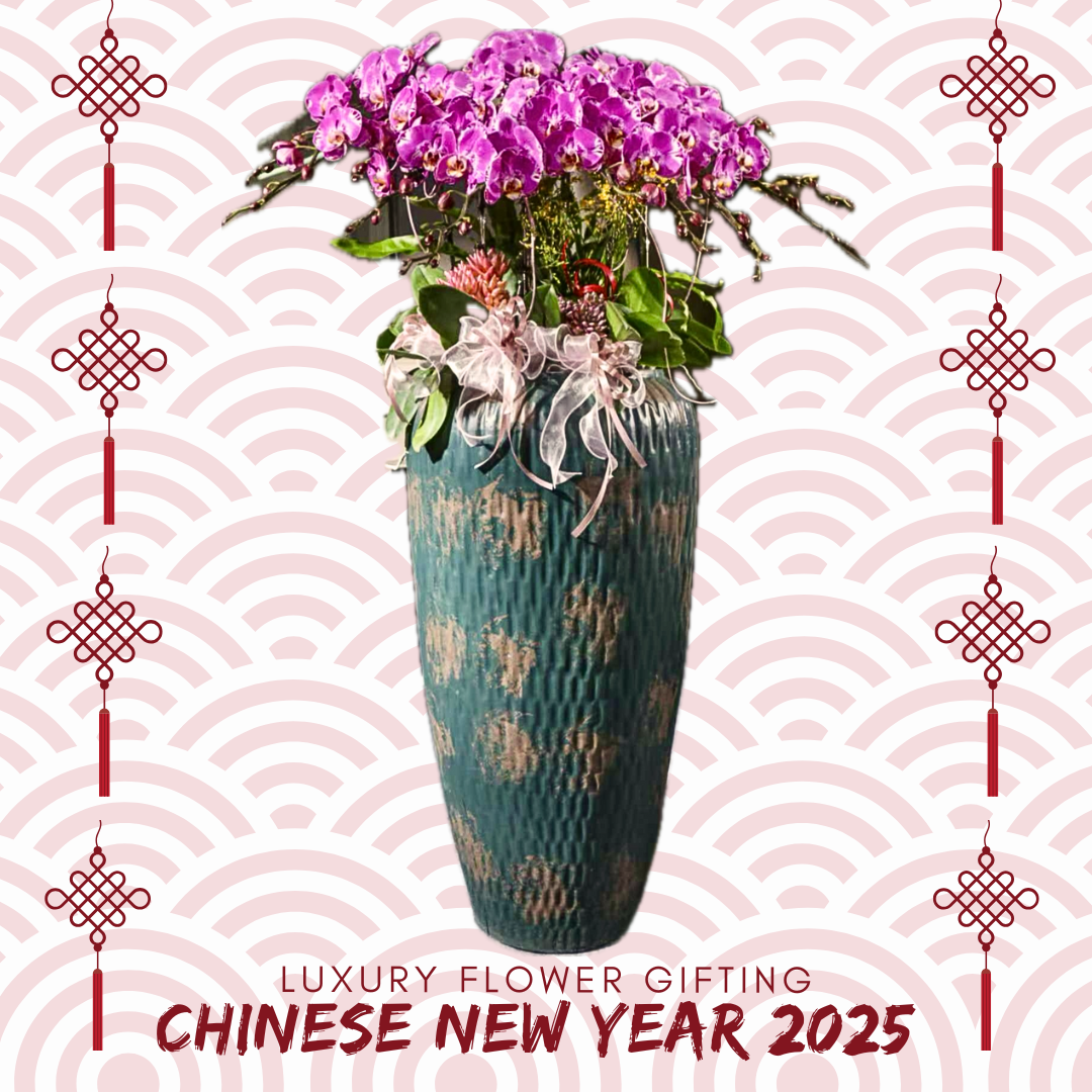 新年蘭花F32