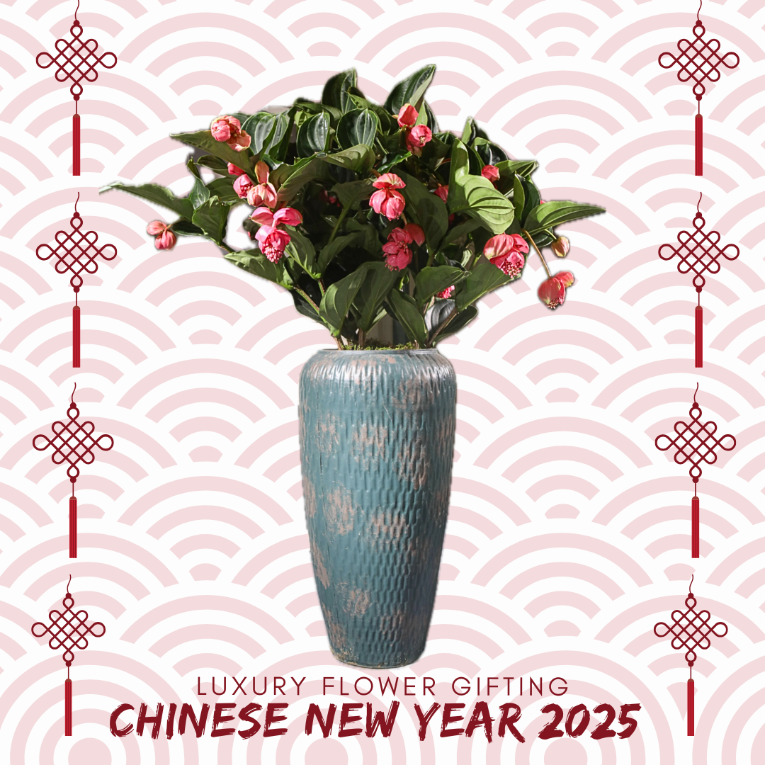 新年花禮 P20 OCTAVIA