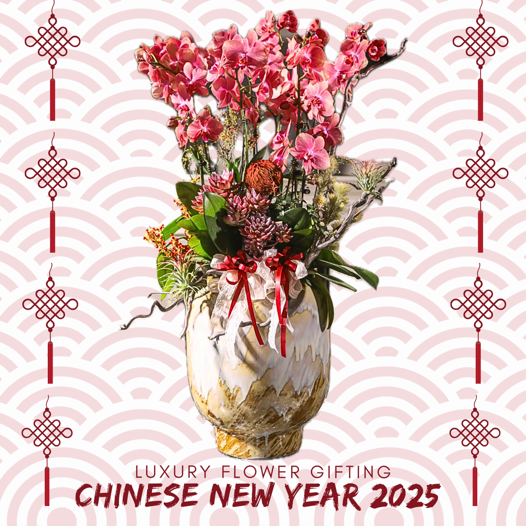 新年蘭花J13 OCTAVIA