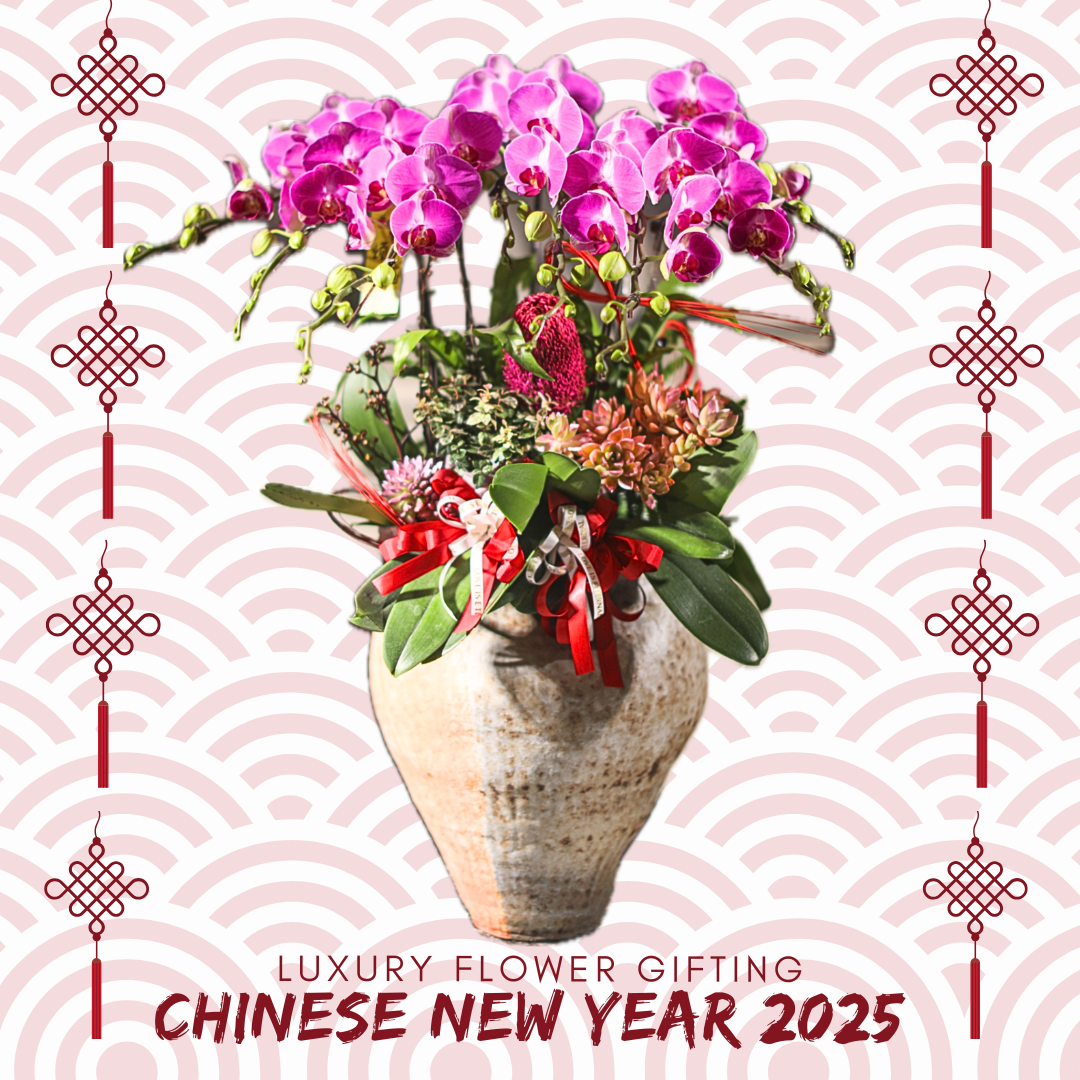 新年年宵花禮H10 OCTAVIA