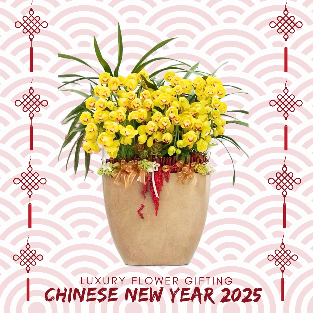 新年花禮B03 OCTAVIA