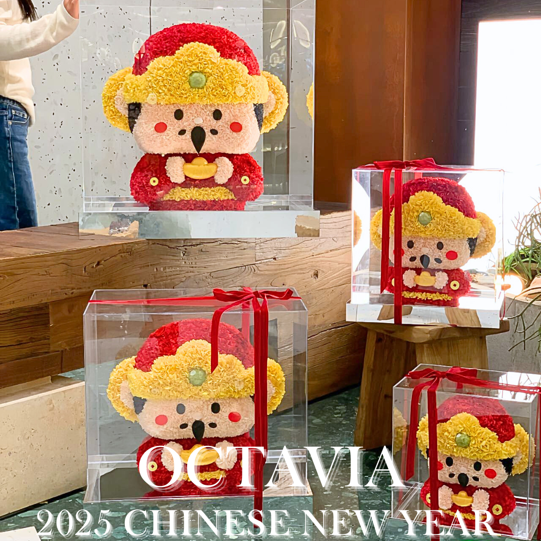 🧨財神爺駕到家族🧨多個尺寸 OCTAVIA