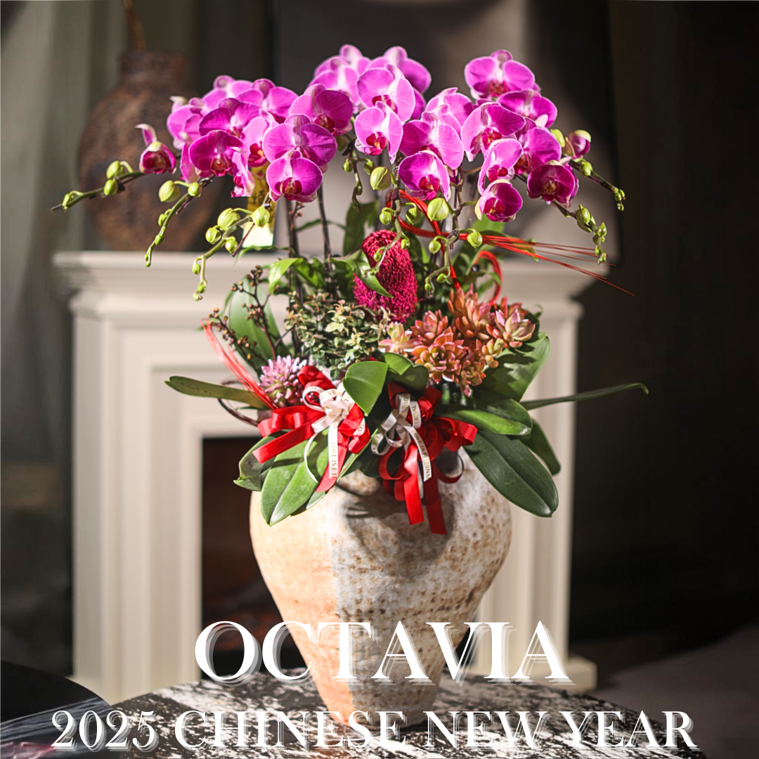 新年年宵花禮H10 OCTAVIA