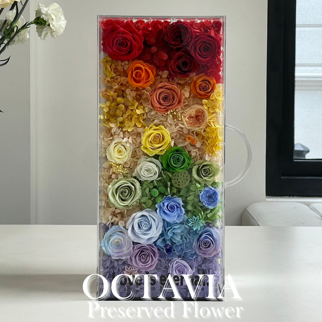 PFNM03A-一路繁花手提花盒(彩虹漸變) OCTAVIA