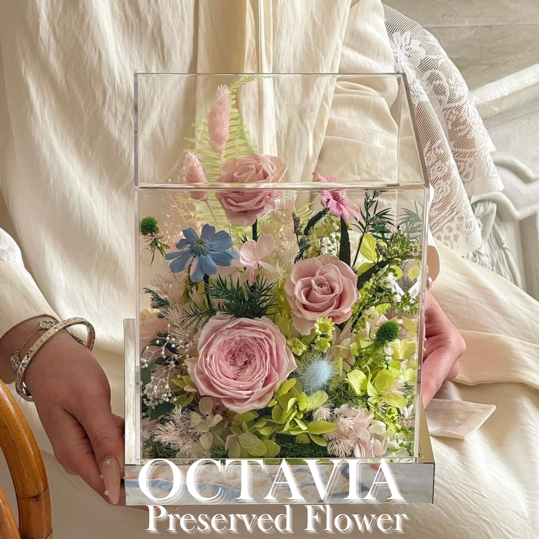 PFNM01B-春意花園 OCTAVIA