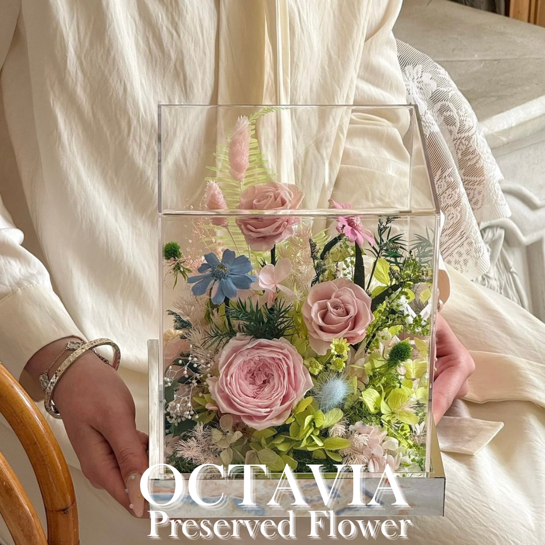 PFNM01B-春意花園 OCTAVIA