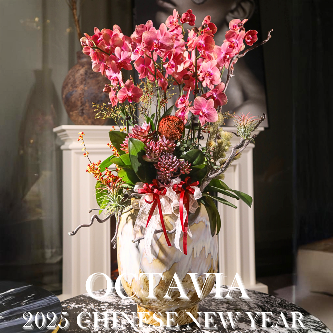 新年蘭花J13 OCTAVIA