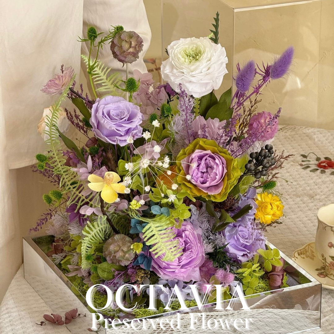 PFNM01A-紫羅蘭花園 OCTAVIA