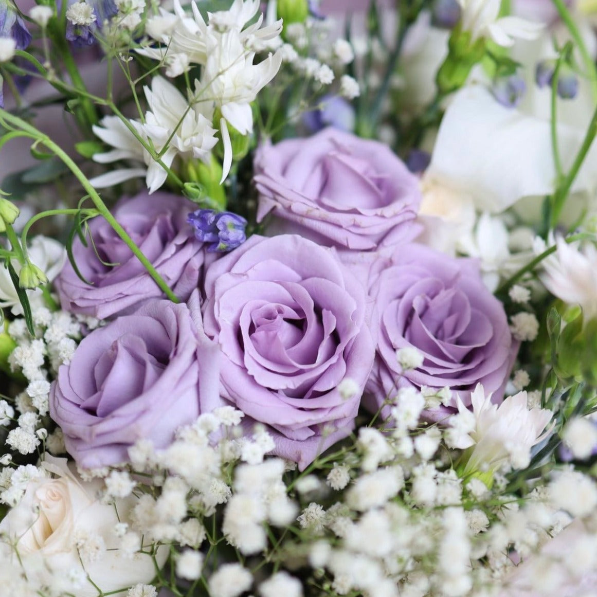 FF03 Little Purple粉紫玫瑰花束 OCTAVIA