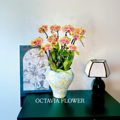 New Year Orchids - 10 Orange-Yellow Phalaenopsis Orchids - Yuecheng - Hand-painted Nordic Vase 