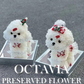 Christmas preserved flower - puppy